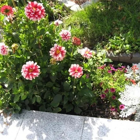 Diamond House Deluxe 4 Lägenhet Koblenz (Rhineland-Palatinate)