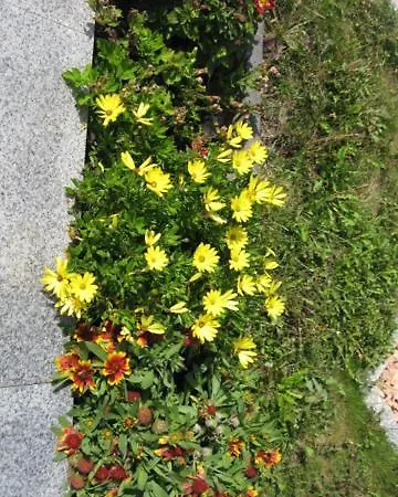 Diamond House Deluxe 4 Lägenhet