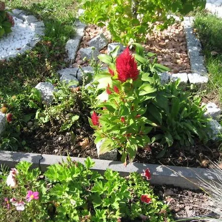 Lägenhet Diamond House Deluxe 4 Koblenz (Rhineland-Palatinate)