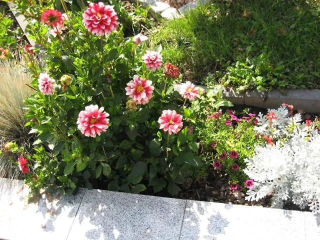 Diamond House Deluxe 4 公寓 科布倫茨