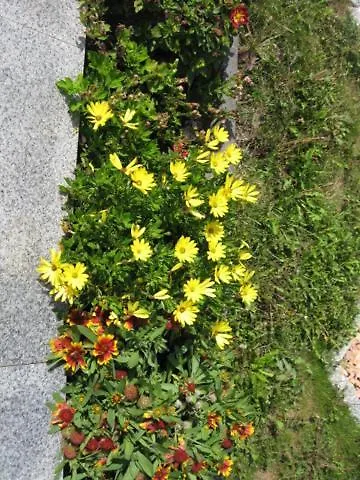 Diamond House Deluxe 4 公寓